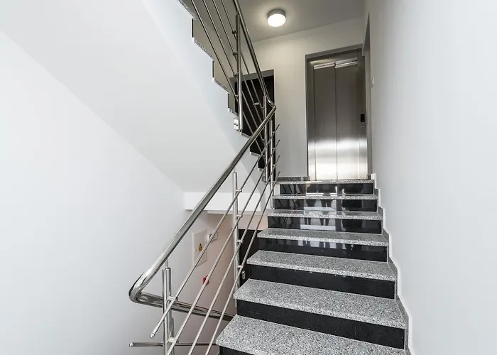 Zoran Brand New Modern